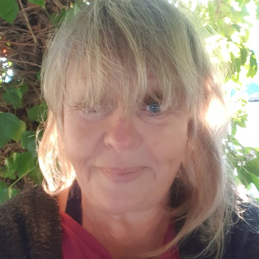 Ylva 2020