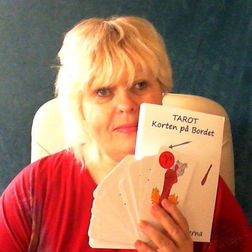 Swedish book and deck 2013